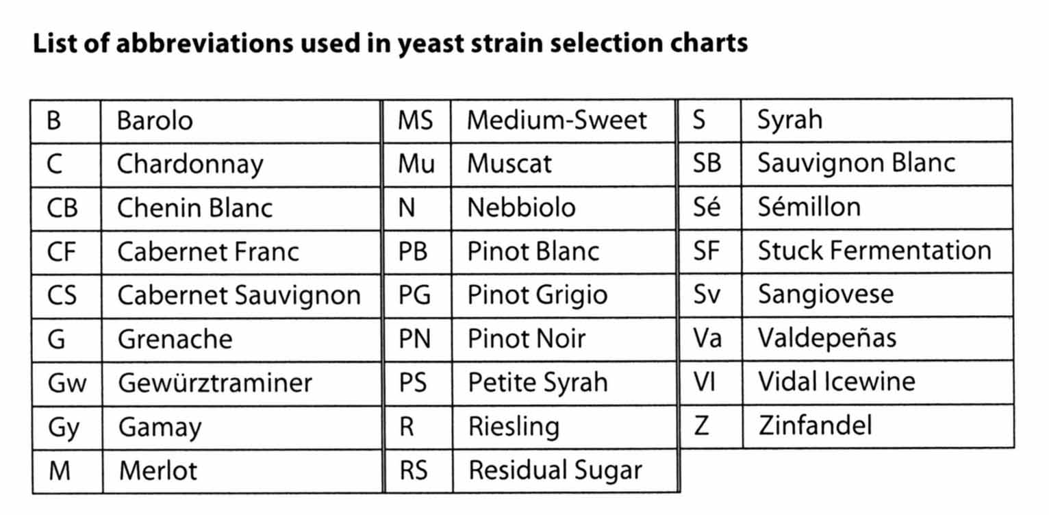 Yeast Strains Chart