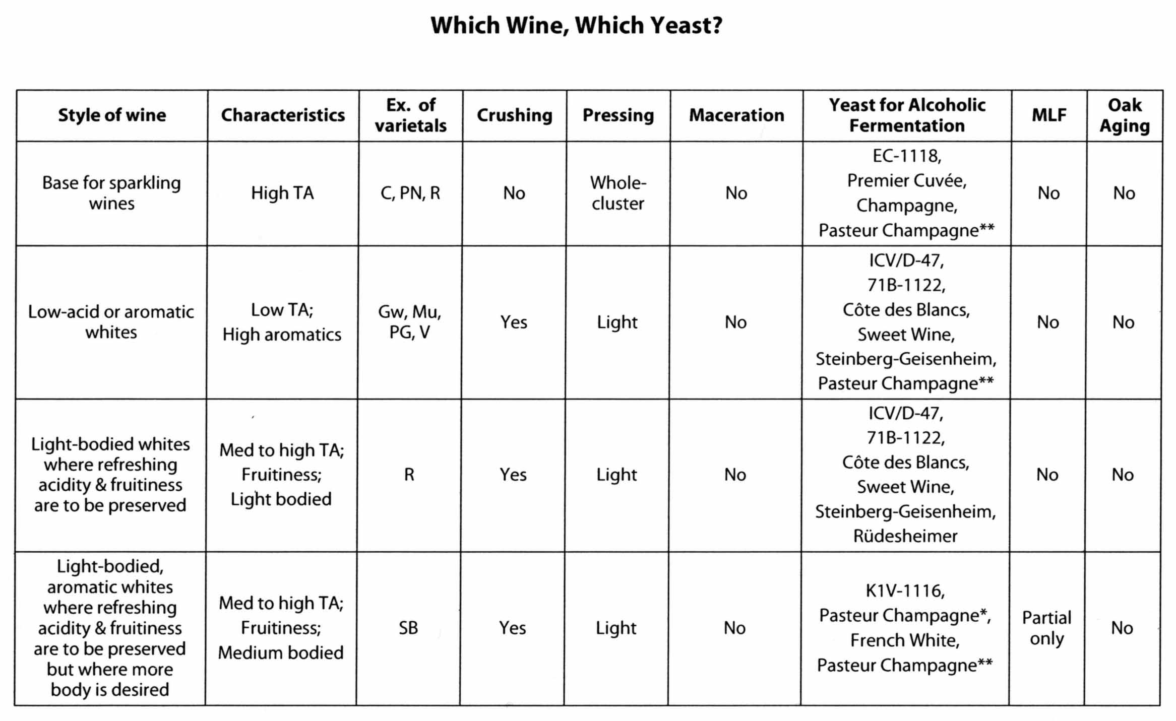 Yeast Strains Chart